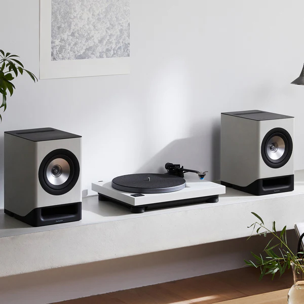 全真模拟。居家校调。 全真模拟。居家校调。